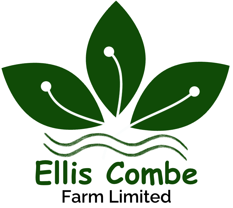 Ellis Combe Farm Limited