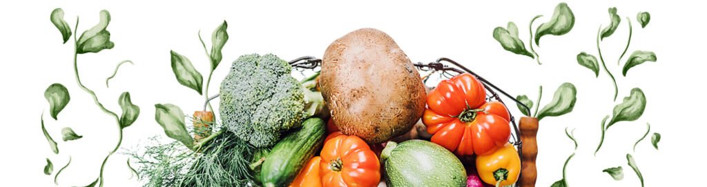 Farm-to-Market Supply chain