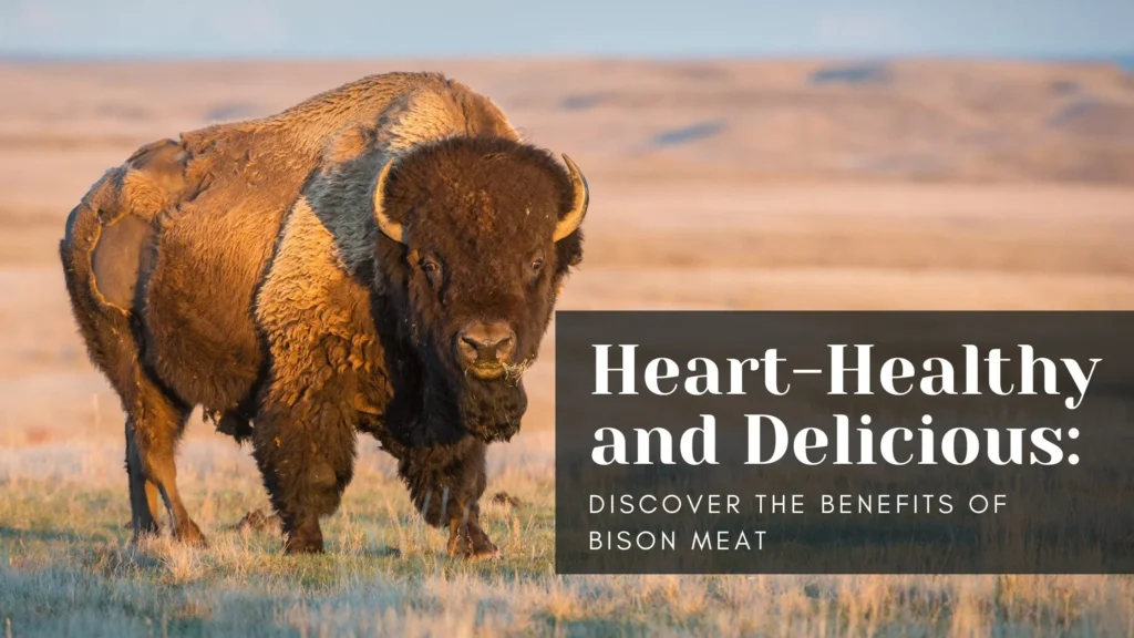 Health Benefits of Bison Meat