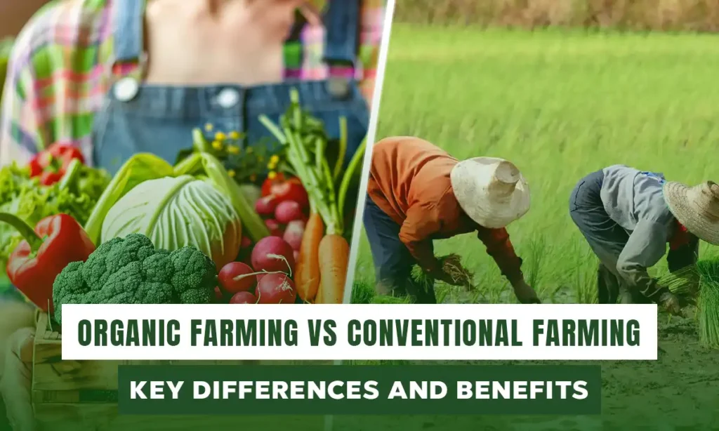 organic vs conventional farming USA