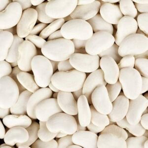 Large White Lima Bean