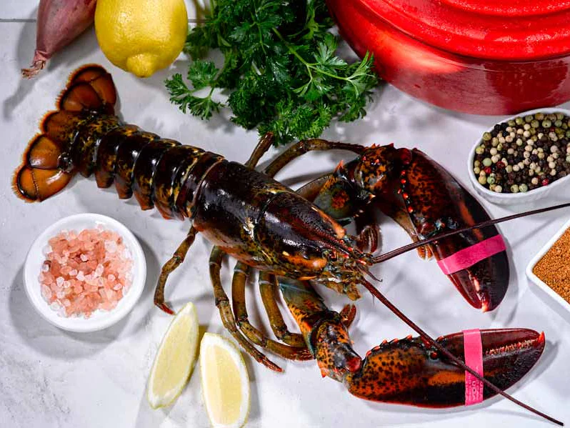 Live Cold Water Wild Lobsters