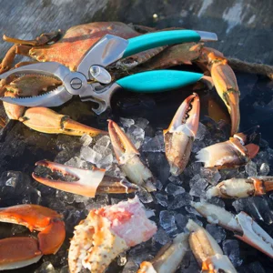 Toadfish Crab Cutter