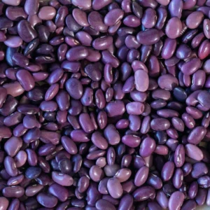 Ayocote Morado Bean