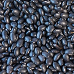 Ayocote Negro Bean
