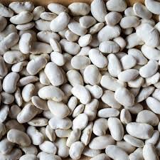 California Corona Bean