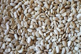 Dirty Cassoulet Bean