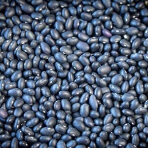 Midnight Black Bean