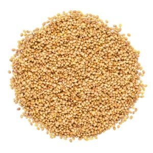 Organic Clover Seeds for Sprouting