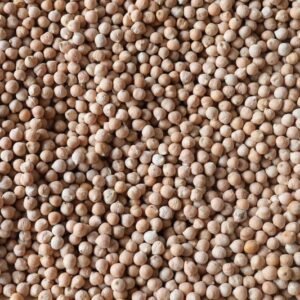 Ceci Piccoli (Small Chickpea)