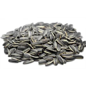 Sunflower Seeds in Shell