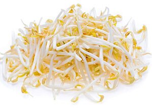 Bean Sprouts
