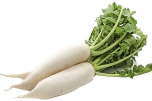 Daikon Radish